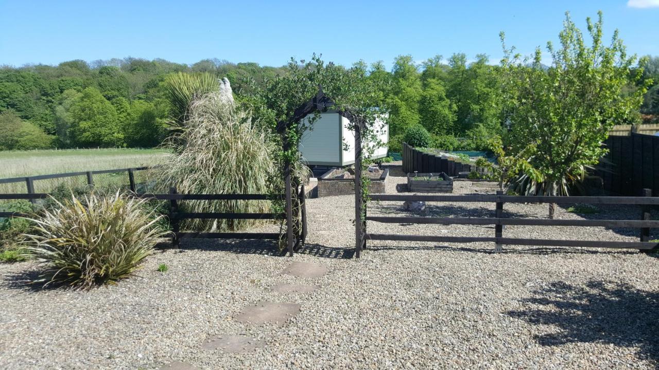 Sheepwash Shepherds Hut Bebside 외부 사진
